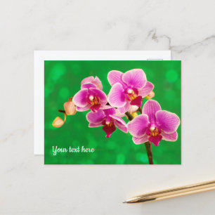 Paarse Orchidee op Groene Ansichtkaart Briefkaart