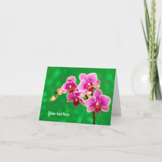 Paarse Orchidee op Groene Wenskaart Kaart