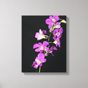Paarse orchidee op zwarte achtergrond canvas afdruk