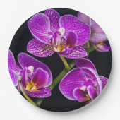 Paarse orchidee papieren bordje (Voorkant)
