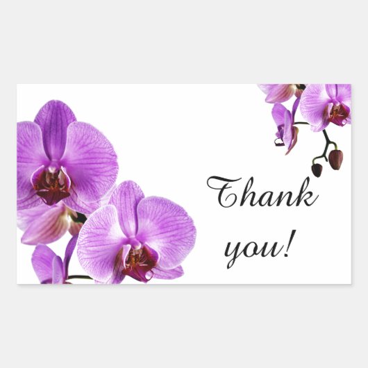 Paarse orchidee phalaenopsis dank u rechthoekige sticker (Voorkant)