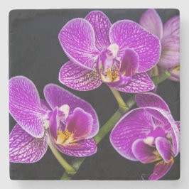 Paarse orchidee stenen onderzetter