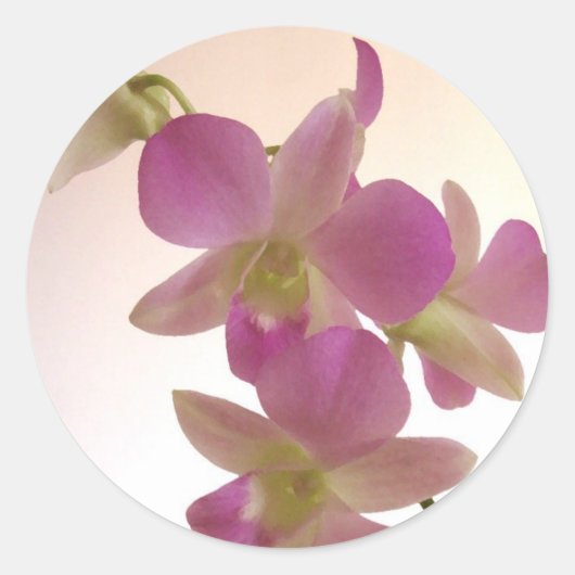 Paarse Orchidee Stickers (Voorkant)