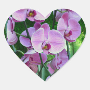 Paarse orchidee stickers in verschillende vormen
