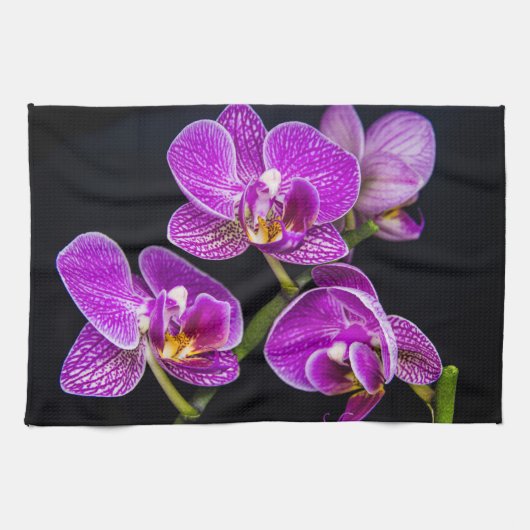 Paarse orchidee theedoek (Horizontaal)