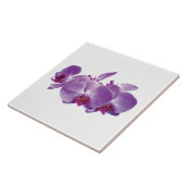 Paarse Orchidee Trio Tegeltje (Zijkant)
