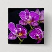 Paarse orchidee vierkante button 5,1 cm (Voorkant)