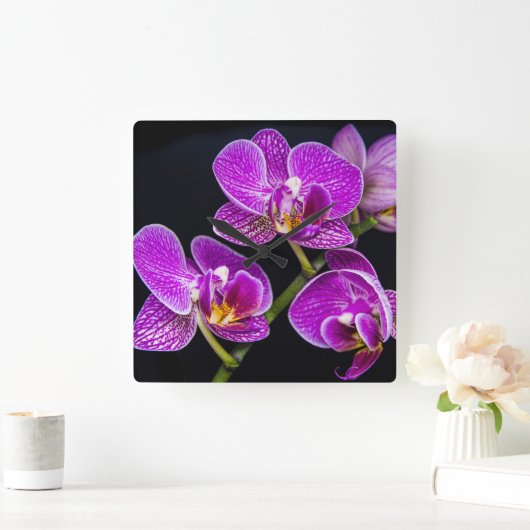 Paarse orchidee vierkante klok (Huis)