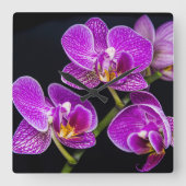 Paarse orchidee vierkante klok (Voorkant)