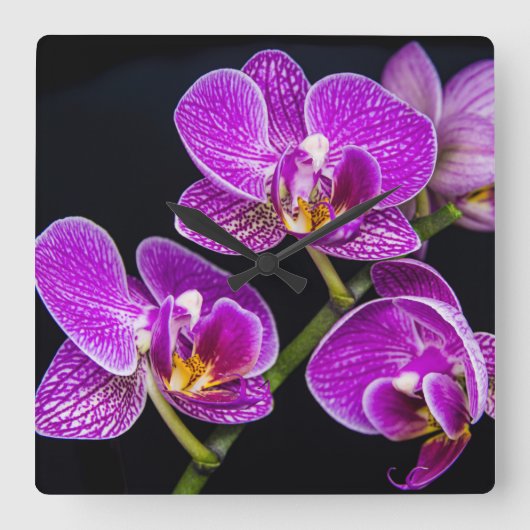 Paarse orchidee vierkante klok (Voorkant)