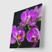 Paarse orchidee vierkante klok (Hoek)