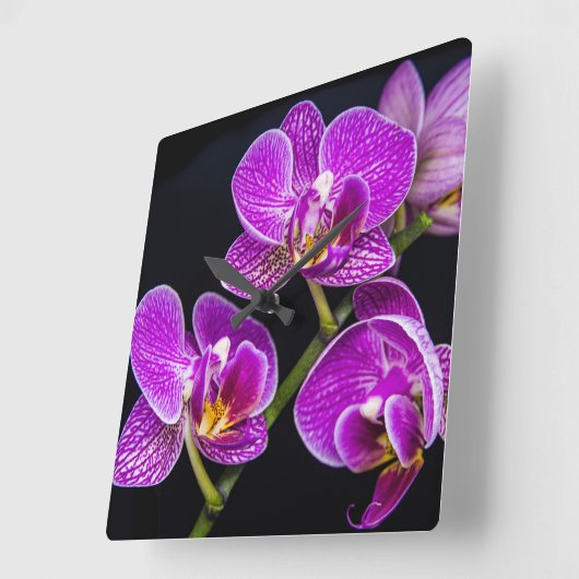 Paarse orchidee vierkante klok (Hoek)