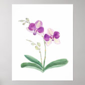 paarse orchidee waterverf poster (Voorkant)