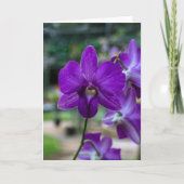 Paarse Orchidee Wenskaart. Kaart (Voorkant)