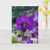 Paarse Orchidee  Wenskaart. Kaart (Gele Bloem)