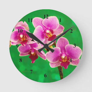 Paarse Orchideeën Acryl wandklok