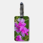 Paarse orchideeën bagagelabel (Achterkant verticaal)
