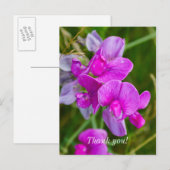 Paarse Orchideeën Bedankkaart Briefkaart (Voorkant / Achterkant)
