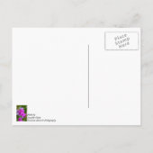 Paarse Orchideeën Bedankkaart Briefkaart (Achterkant)