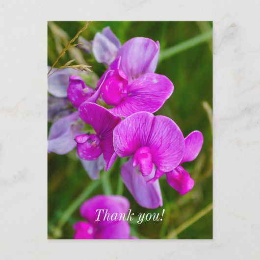 Paarse Orchideeën Bedankkaart Briefkaart (Voorkant)
