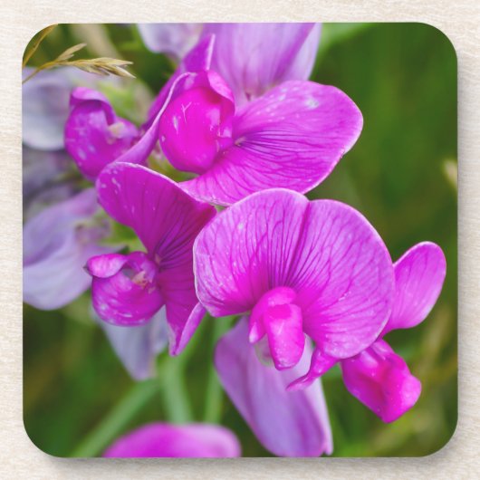 Paarse Orchideeën Bier Onderzetter (Voorkant)