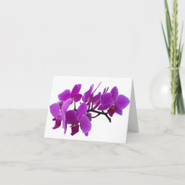 Paarse Orchideeën Blanco kaart