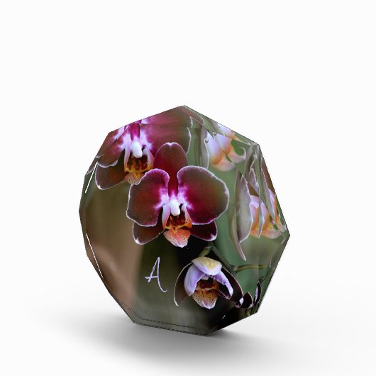 Paarse orchideeën botanische fotografie monogram fotoblokken (Rechts)