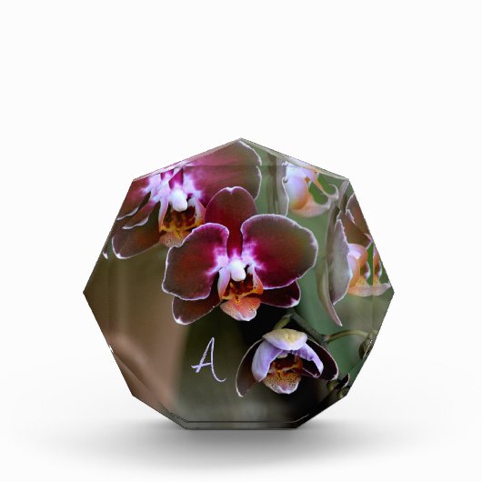 Paarse orchideeën botanische fotografie monogram fotoblokken (Voorkant)