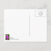 Paarse orchideeën briefkaart (Achterkant)