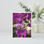 paarse orchideeën briefkaart (Staand voorkant)