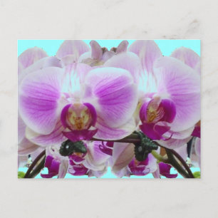 Paarse orchideeën briefkaart