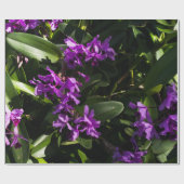 Paarse orchideeën cadeaupapier (Vlak)