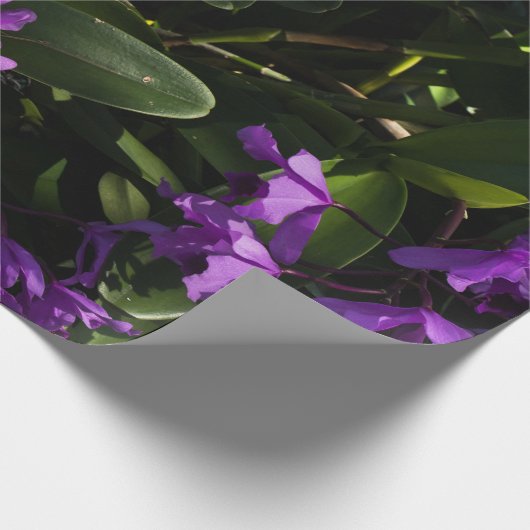 Paarse orchideeën cadeaupapier (Hoek)