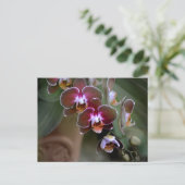 Paarse orchideeën Fotografisch botanisch Briefkaart (Staand voorkant)