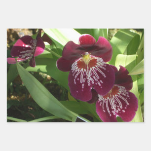 Paarse Orchideeën II Elegante Bloemen Inpakpapier Vel