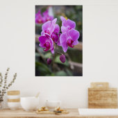 Paarse orchideeën in bloom poster (Keuken)