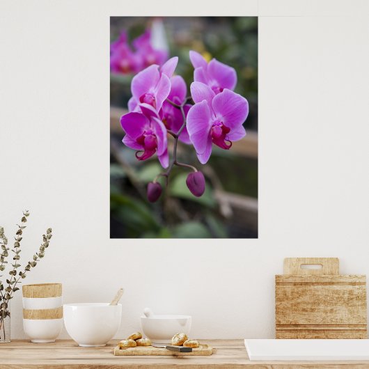 Paarse orchideeën in bloom poster (Keuken)