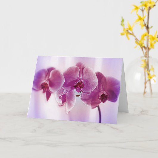 Paarse orchideeën kaart (Gele Bloem)
