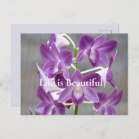 Paarse Orchideeën Kauai Hawaii