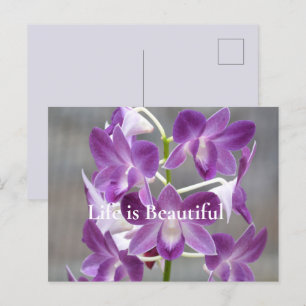 Paarse Orchideeën Kauai Hawaii Briefkaart