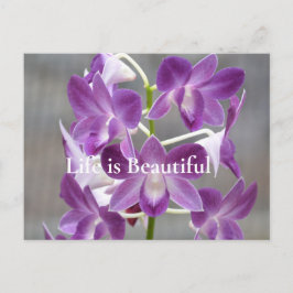 Paarse Orchideeën Kauai Hawaii Briefkaart