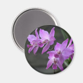 Paarse orchideeën magneet (Voorkant / Achterkant)