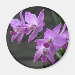 Paarse orchideeën magneet