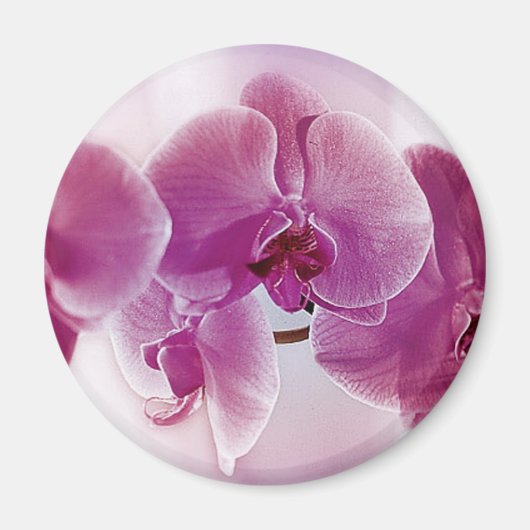 Paarse orchideeën magneet (Voorkant)