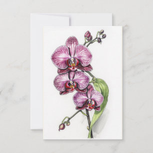 Paarse orchideeën Minimalistisch blanco Bedankkaart