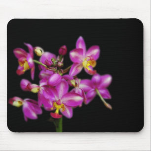 Paarse orchideeën op een zwarte achtergrond muismat