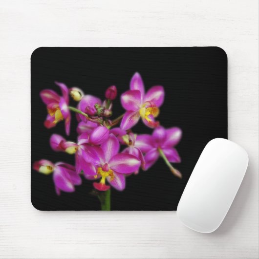 Paarse orchideeën op zwarte achtergrond muismat (Met muis)