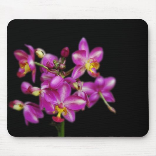 Paarse orchideeën op zwarte achtergrond muismat (Voorkant)