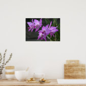 Paarse orchideeën poster (Keuken)