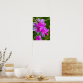Paarse Orchideeën Poster (Keuken)